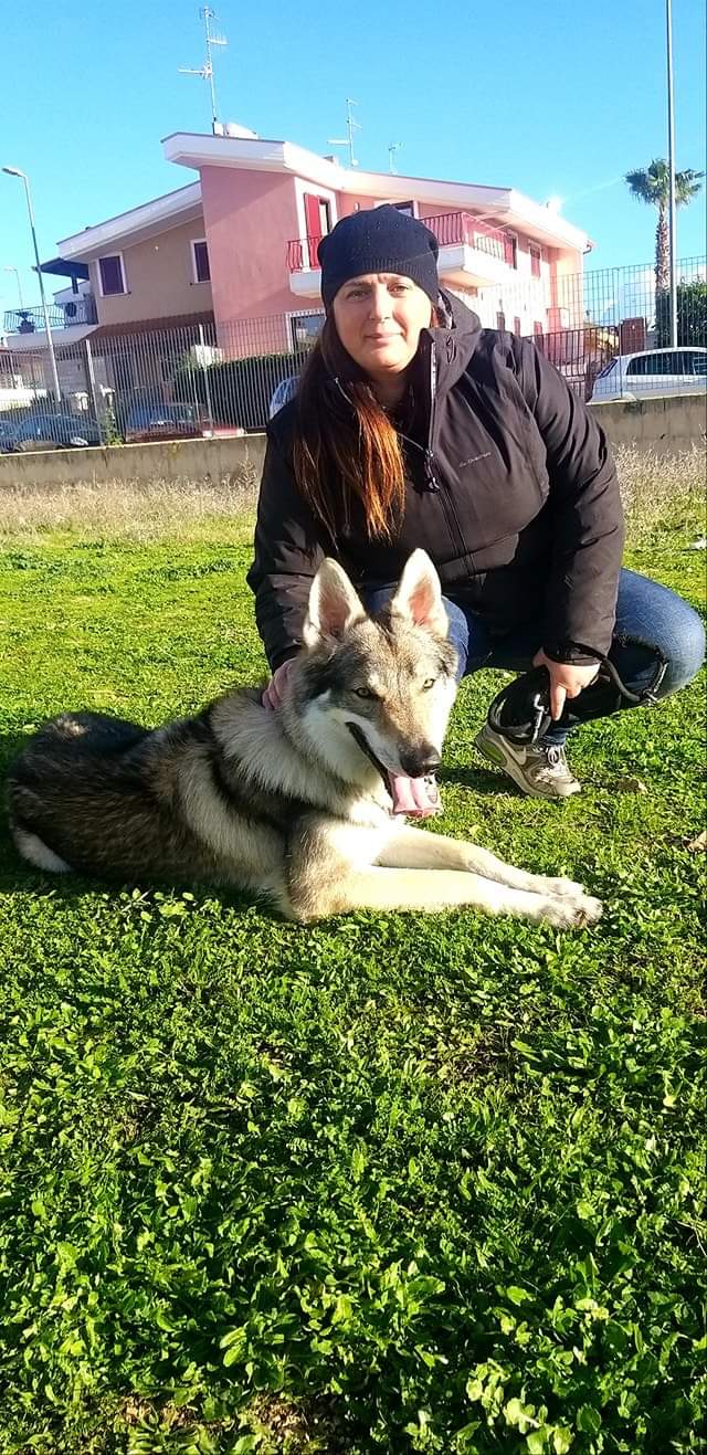 DAKAN WOLF Z