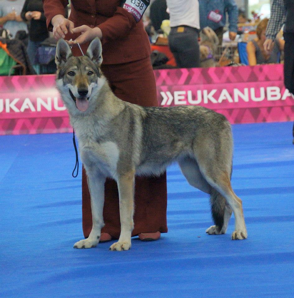 Hilary Kuklík