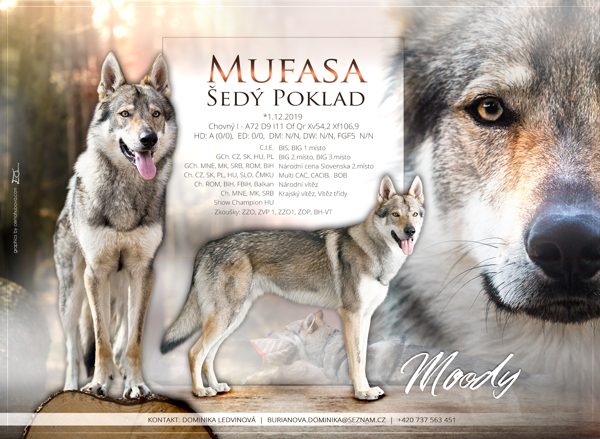 Mufasa Šedy poklad