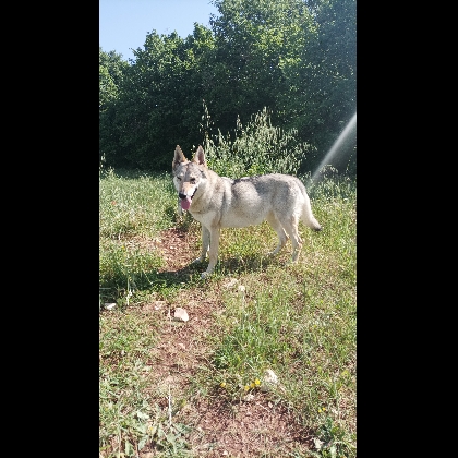 AIKA